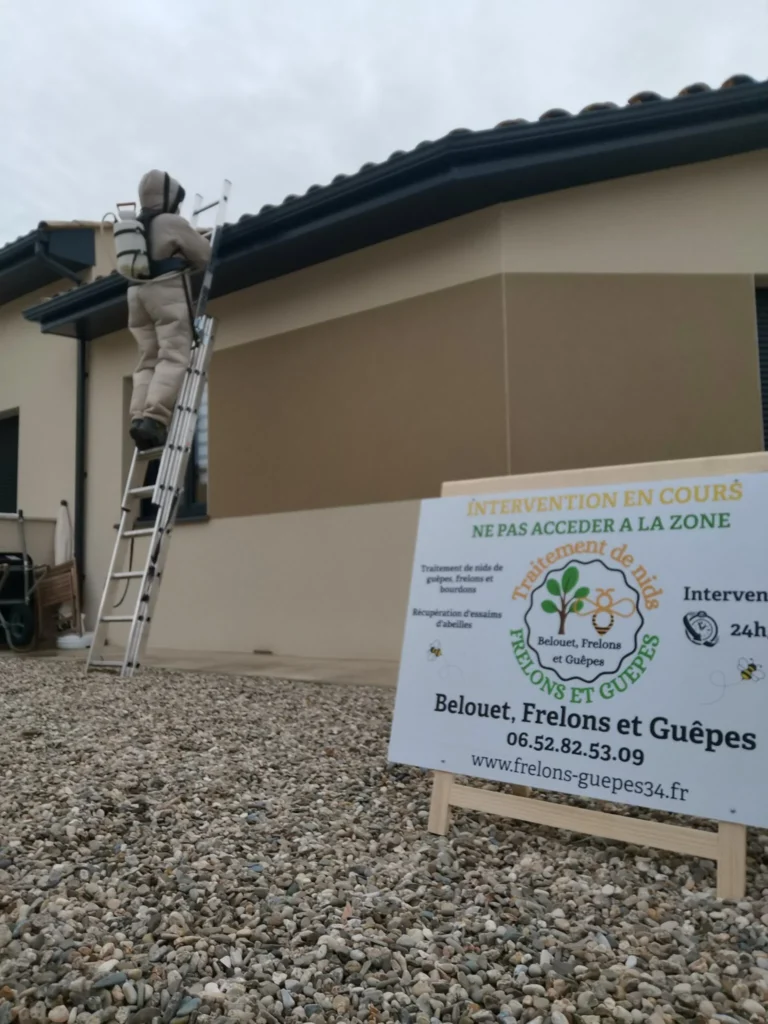 Traitement-preventif-de-toiture-Belouet-Frelons-et-Guepes-