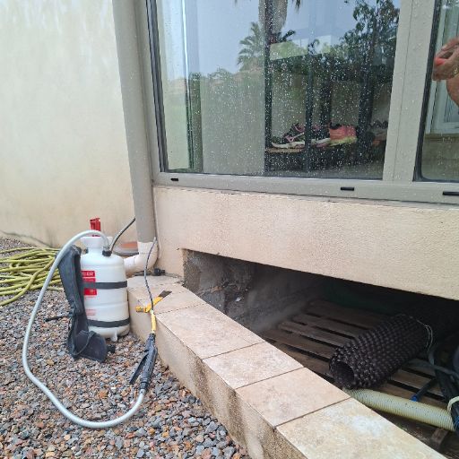 Comment empêcher les guêpes et frelons de s’installer chez vous à Béziers ?